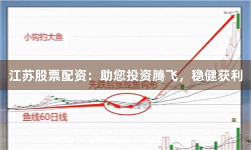 江苏股票配资：助您投资腾飞，稳健获利