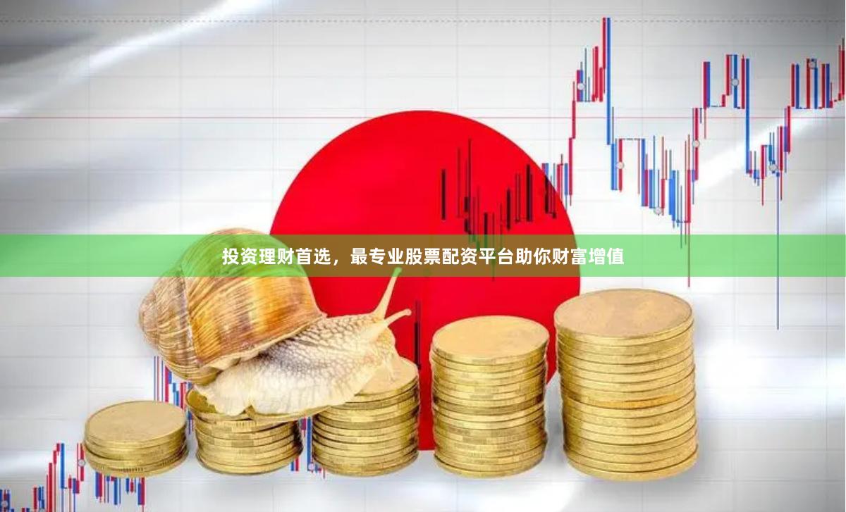 投资理财首选，最专业股票配资平台助你财富增值