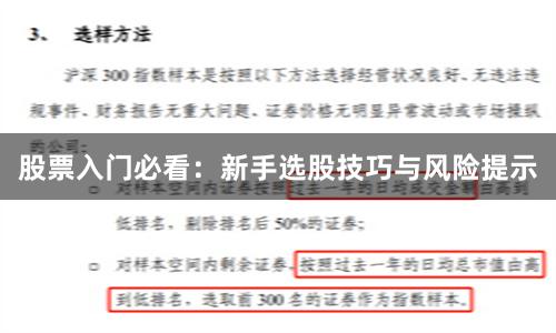 股票入门必看：新手选股技巧与风险提示