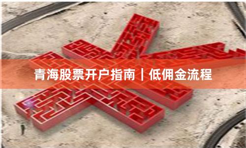 青海股票开户指南|低佣金流程