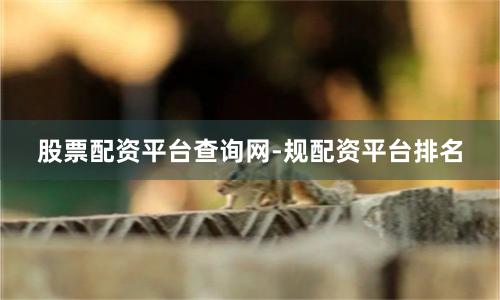 股票配资平台查询网-规配资平台排名
