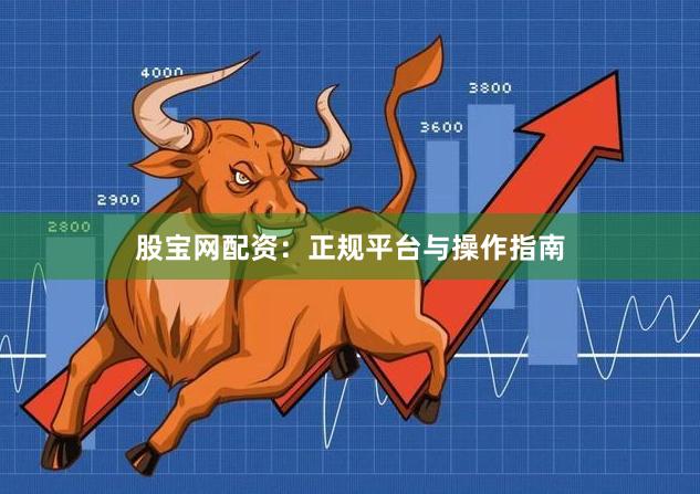 股宝网配资：正规平台与操作指南