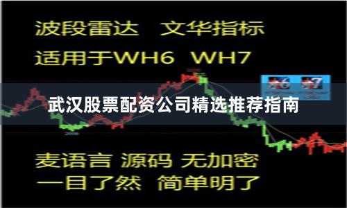 武汉股票配资公司精选推荐指南